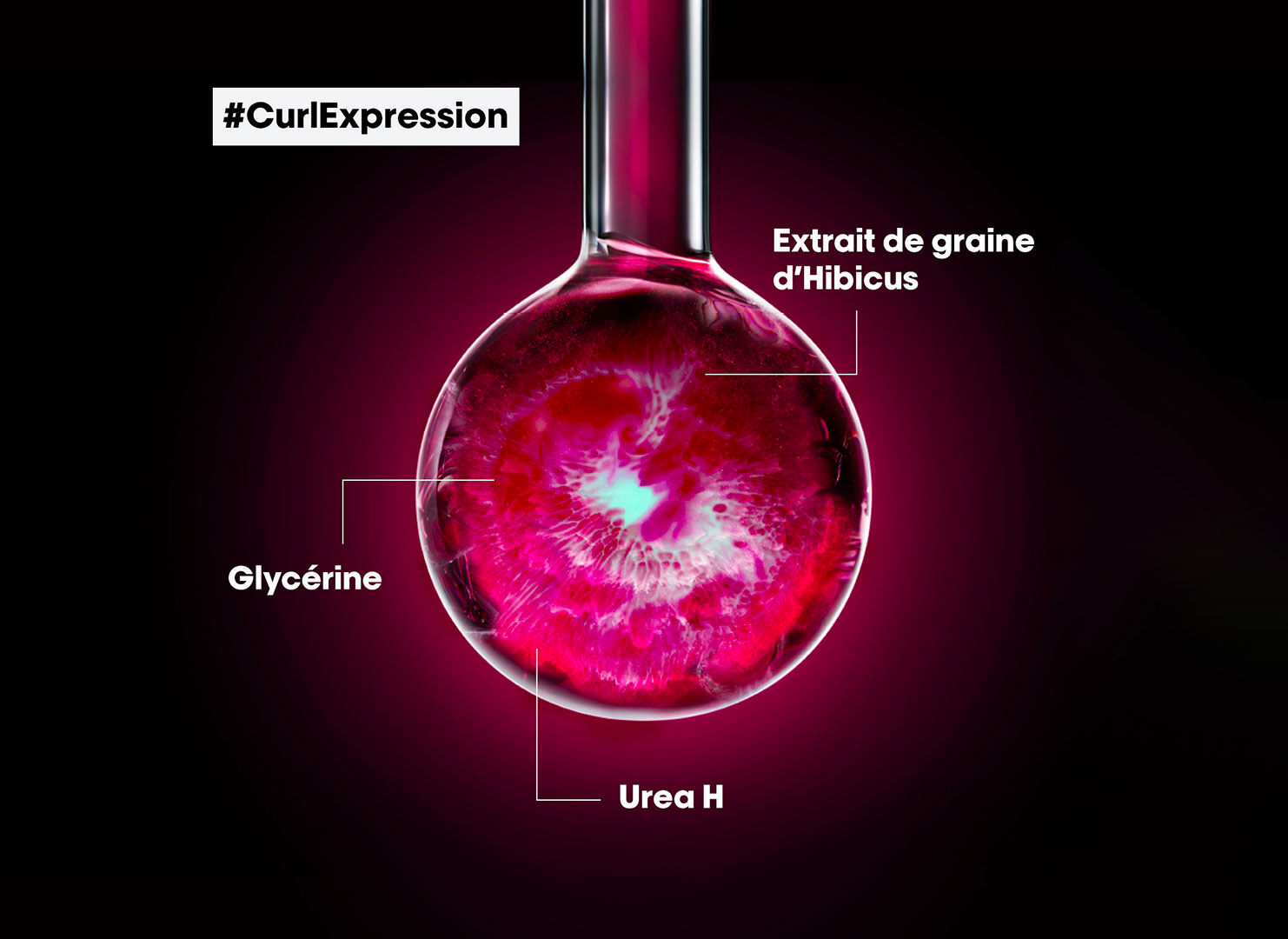 Ingrédients clés de la gamme Curl Expression